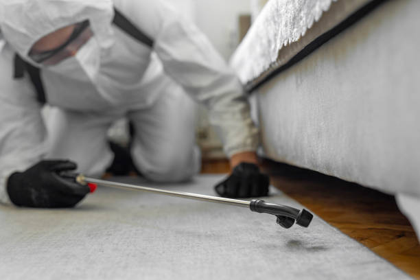 Professional Bed Bug Control technician working in Itasca, IL